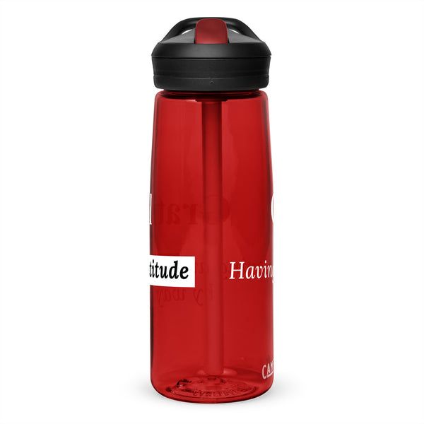 Sports water bottle