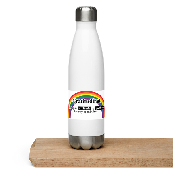 Stainless Steel Water Bottle