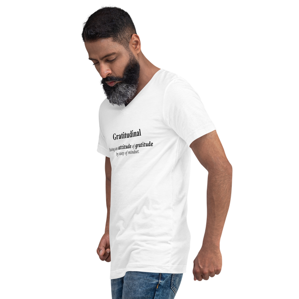 Unisex Short Sleeve V-Neck T-Shirt | Bella + Canvas 3005